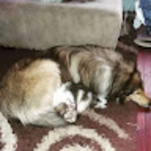 Meet your Posher, Haley